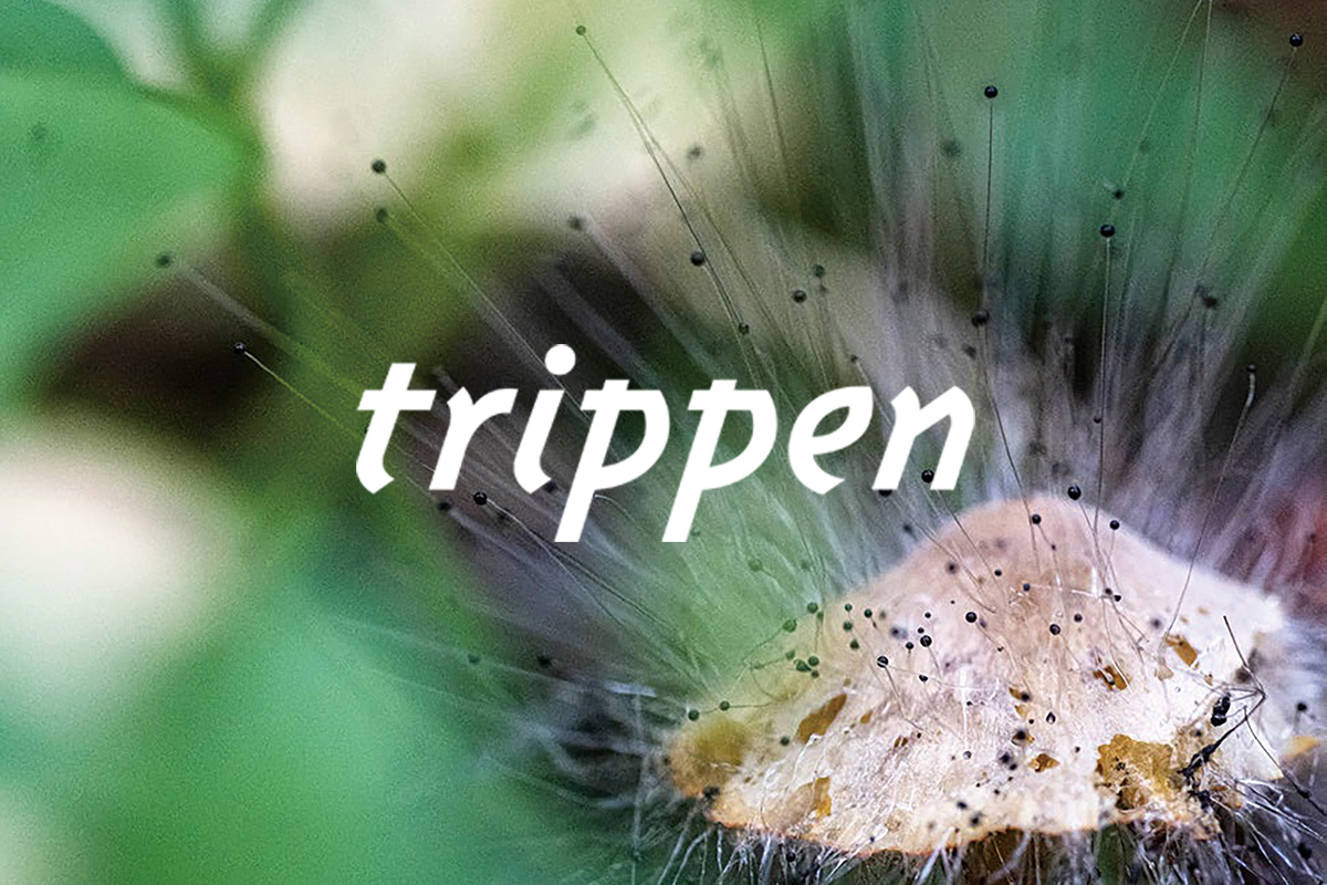 trippenオフィシャルサイト