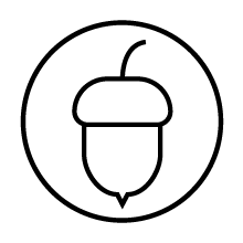 vt